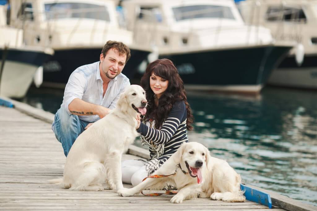 Dog Communication & Body Language