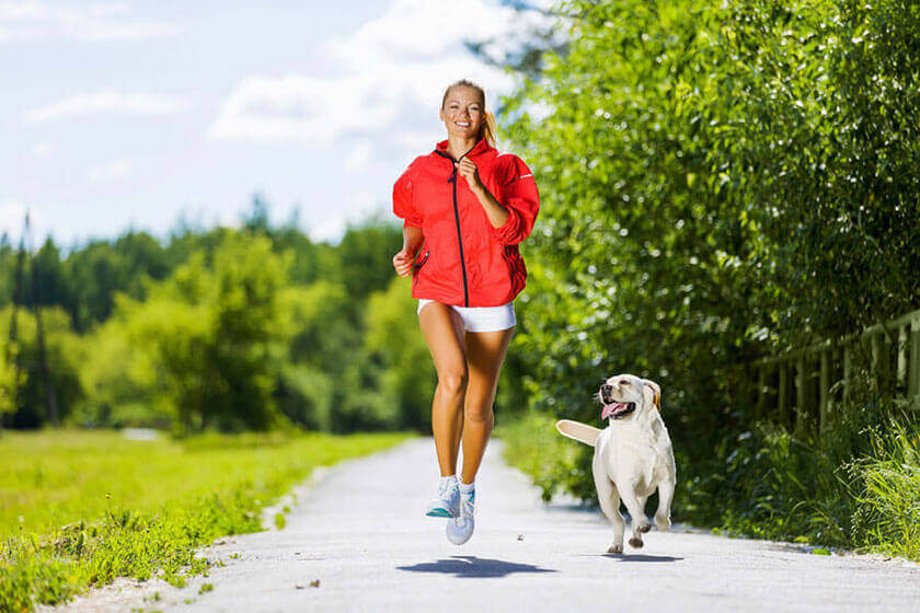 Apps For A Healthy Dog