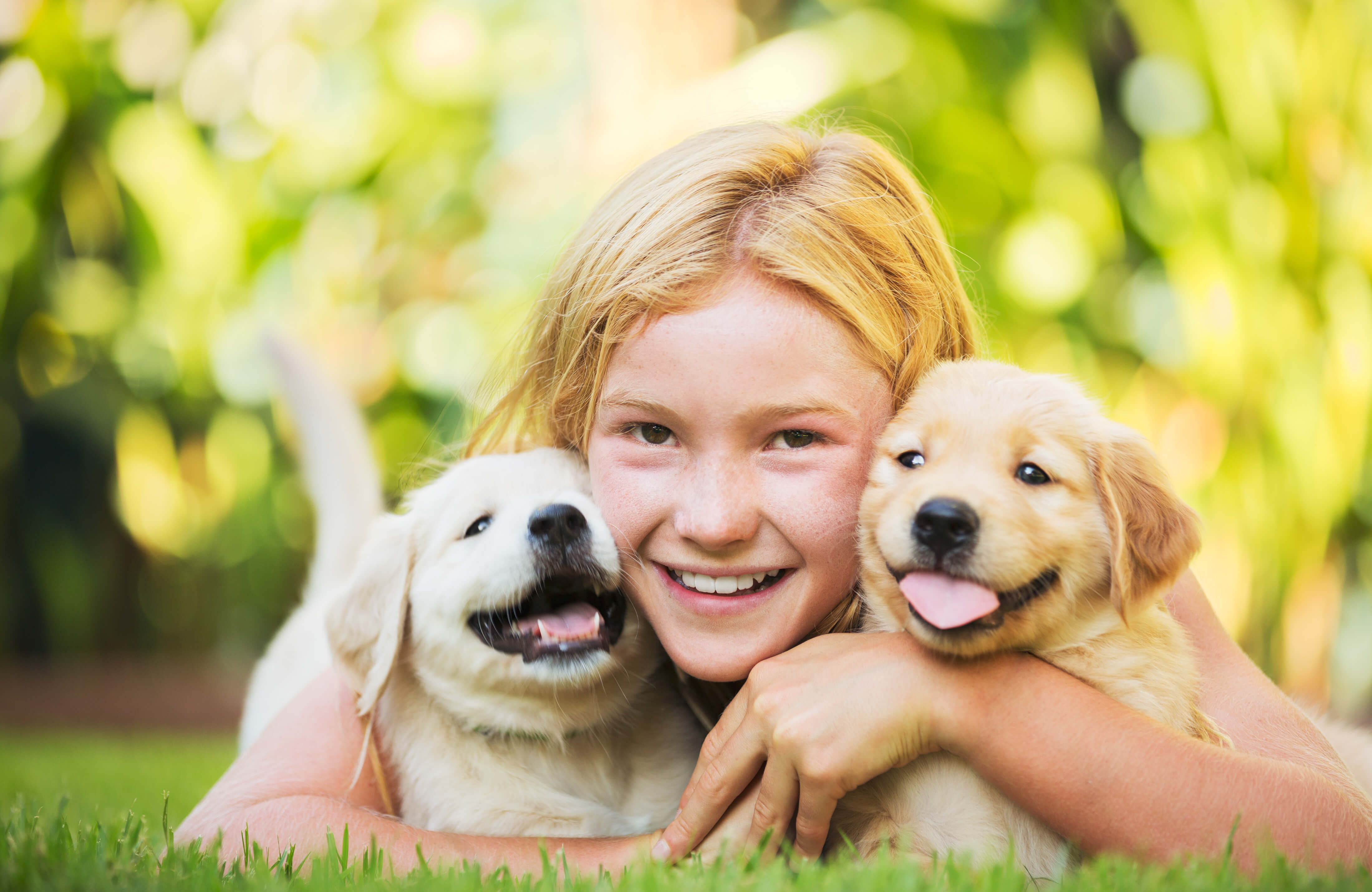 First Steps To Buying A Dog