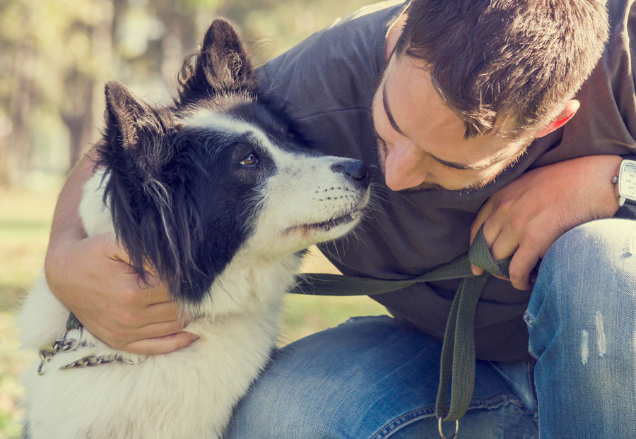 pet rescue