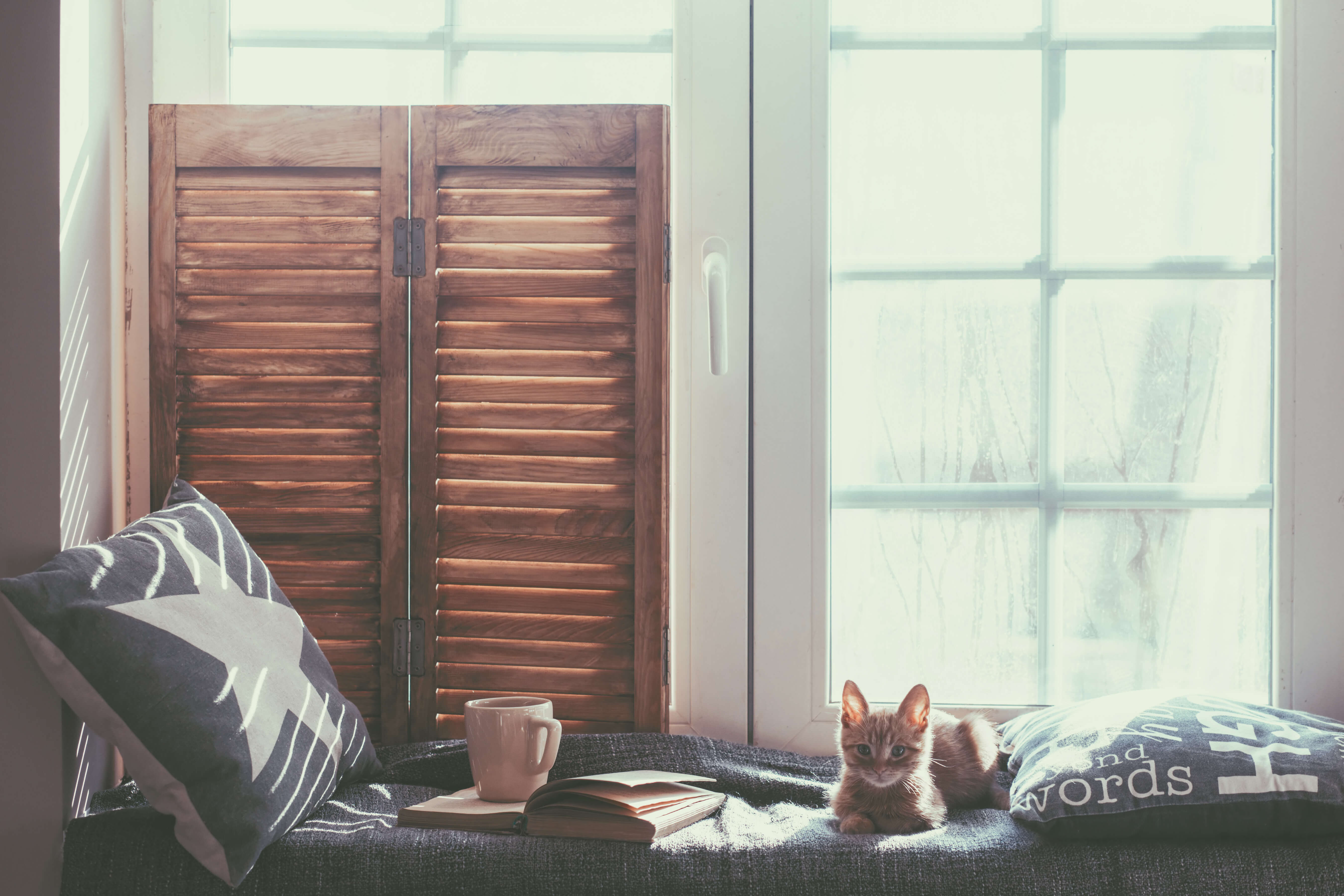 Anxiety Remedies For Pets