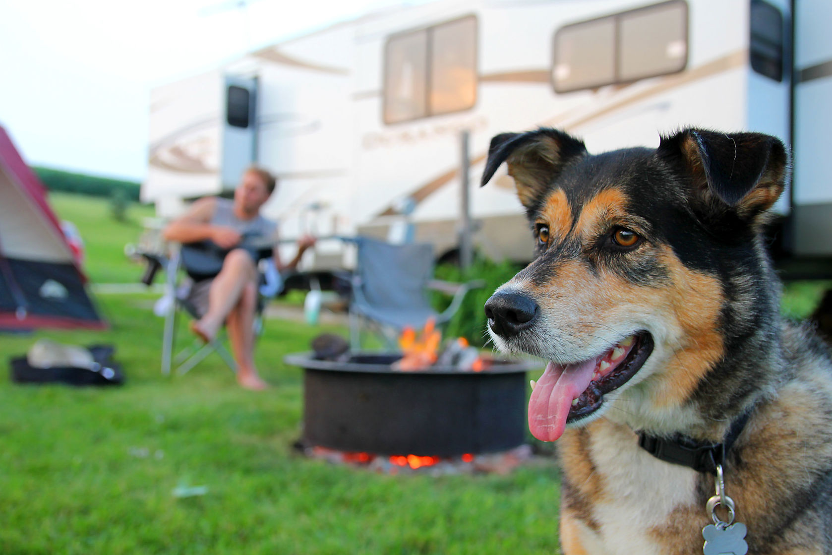 Camping with Dogs