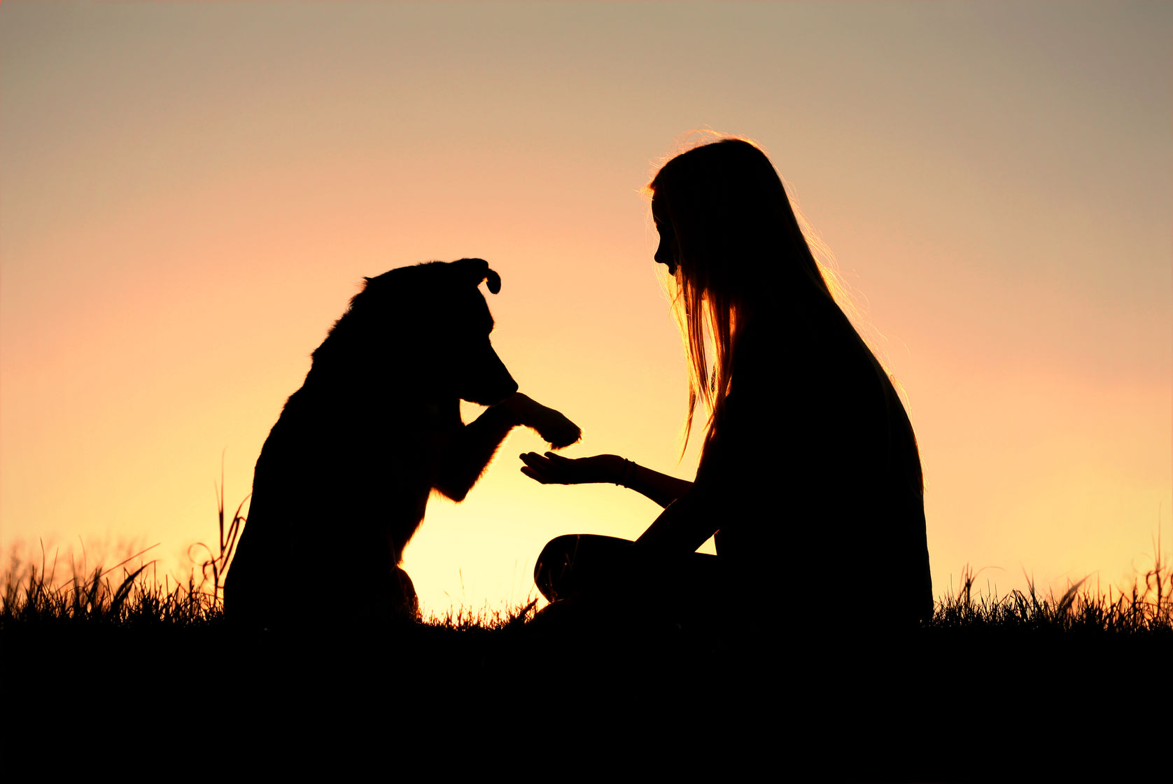 Teaching Old Dogs New Tricks