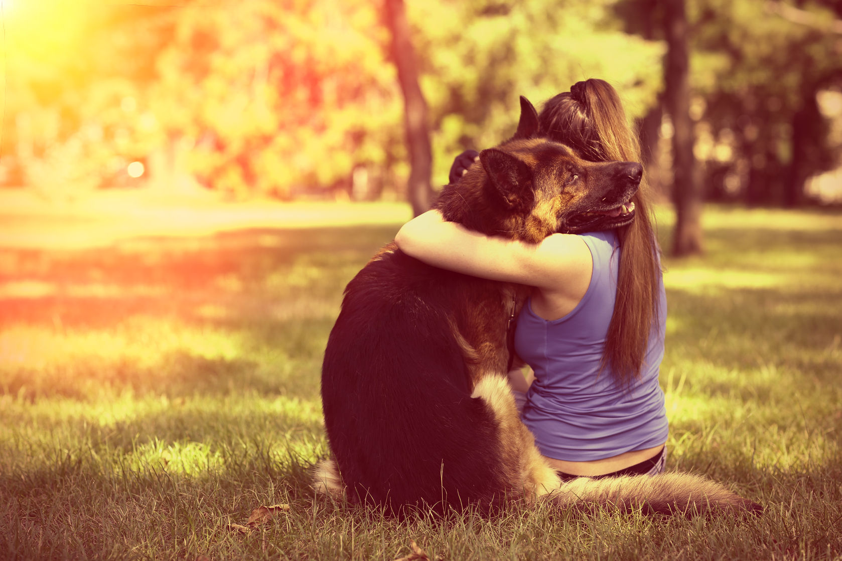 Pet Safe Outdoors