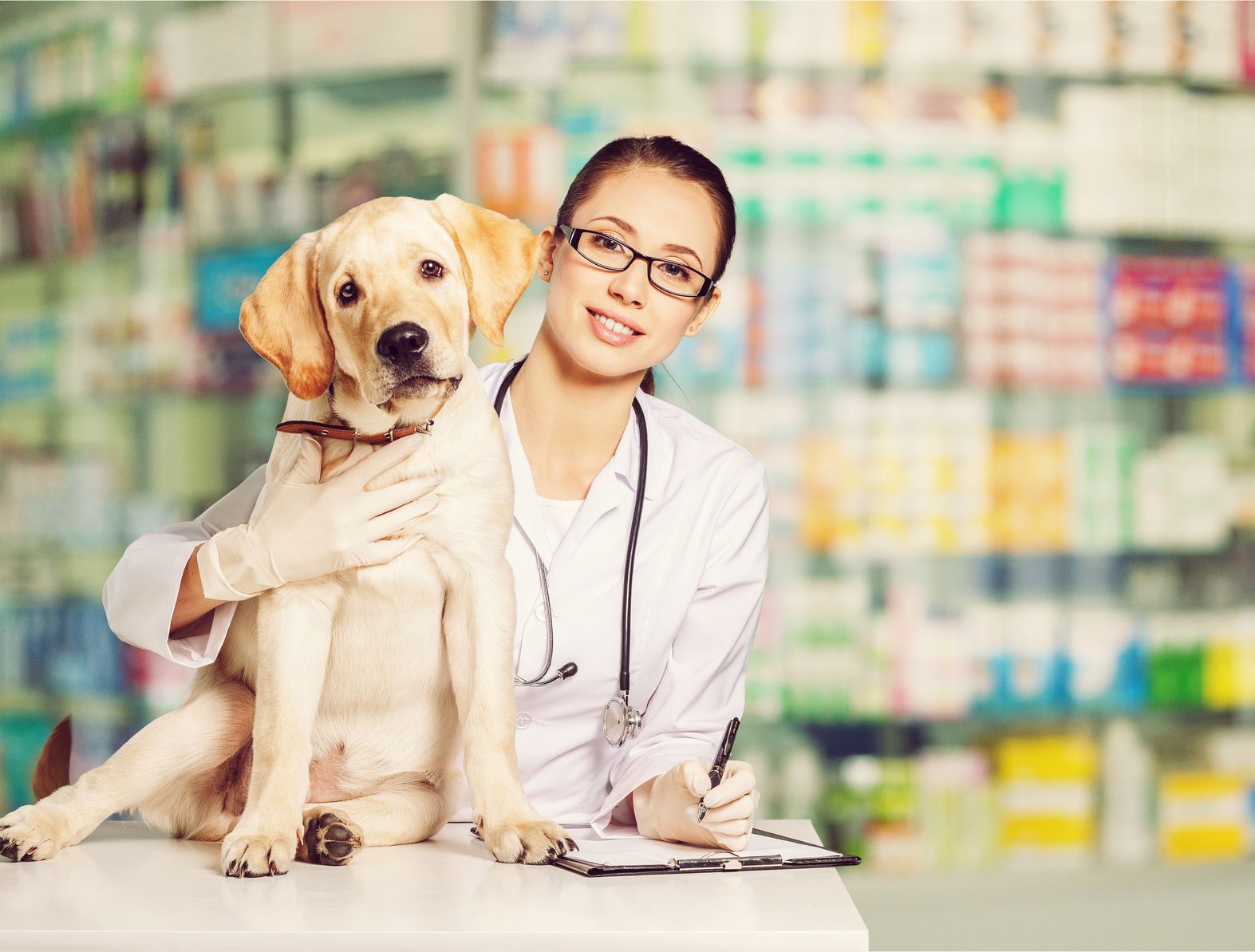 Pet Microchip