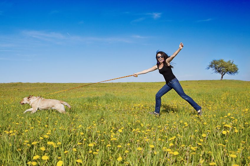 Bad Mannered Dogs