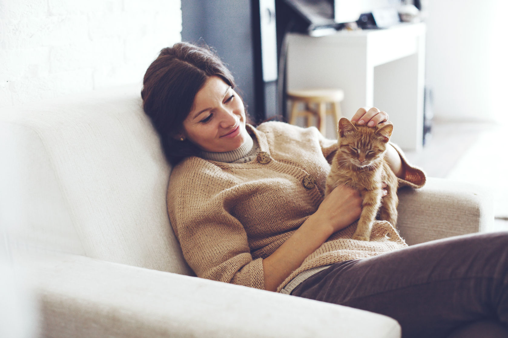 How Cat Crazy is Your cat