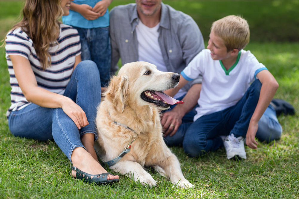 Benefits Of Owning a Pet