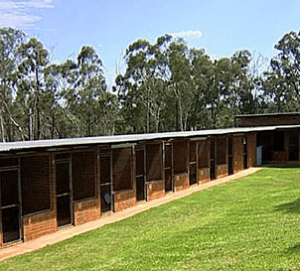 Dog kennels