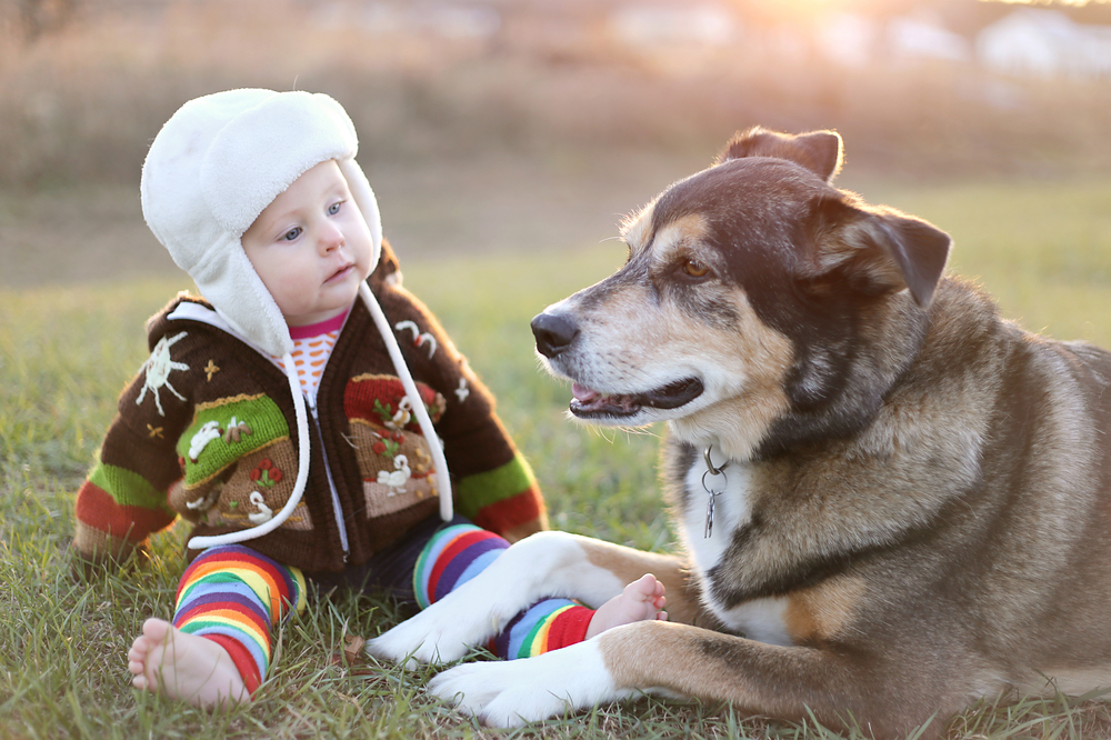 older pets